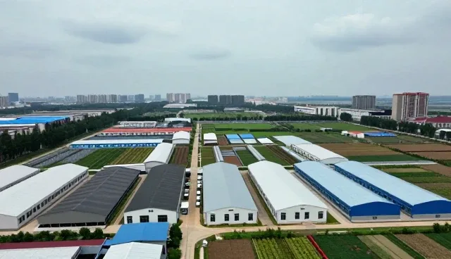 电商运营中性能与适用条件的实际应用场景分析